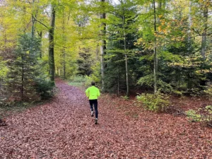 Läufer in neongelber Jacke auf einem Waldweg im Herbst